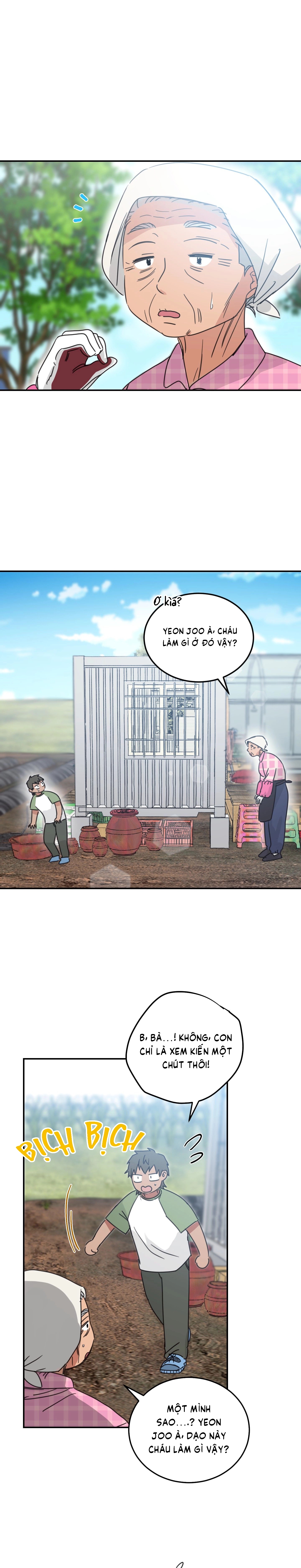 căn nhà mặt trời mọc chapter 47 2