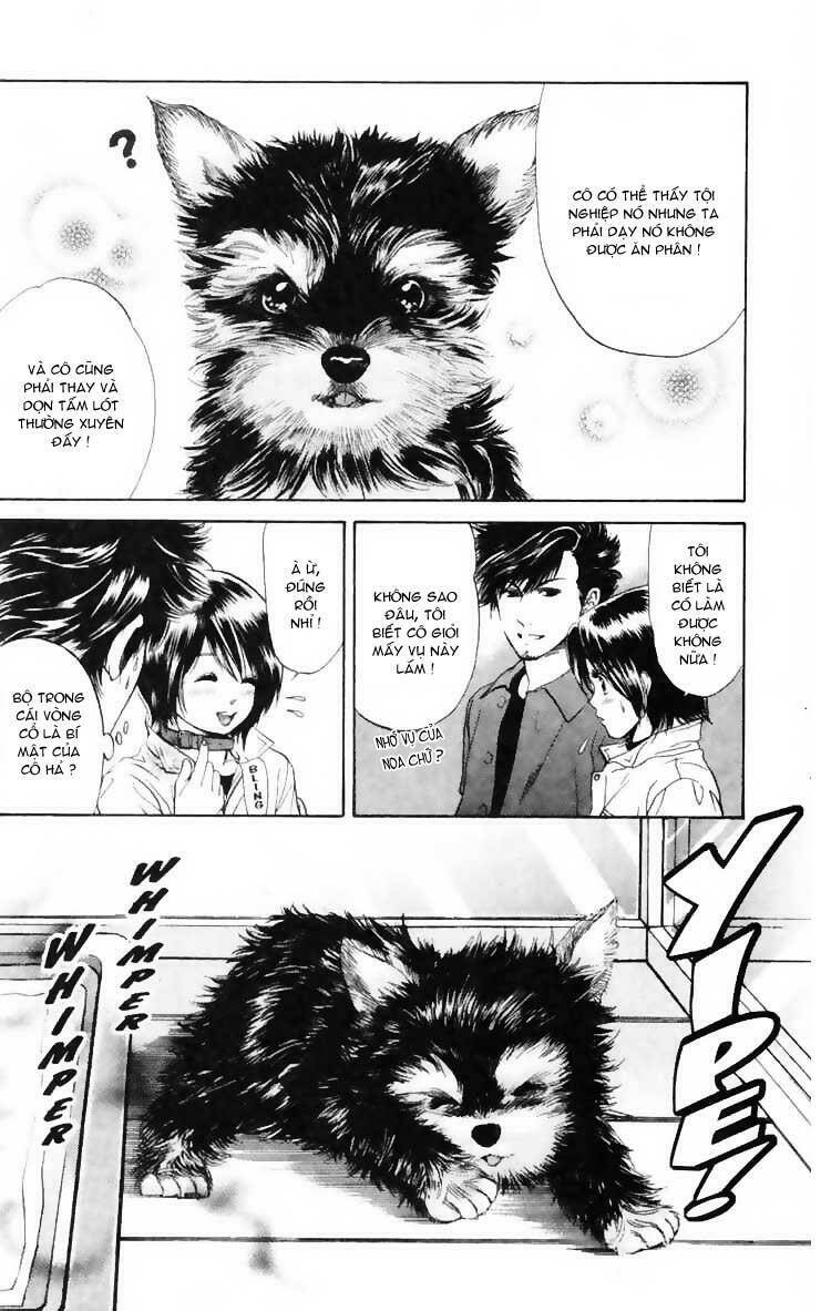 cô nàng yêu chó chapter 3 22