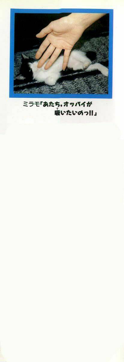 shin kotaro makaritoru! juudouhen chapter 62 3