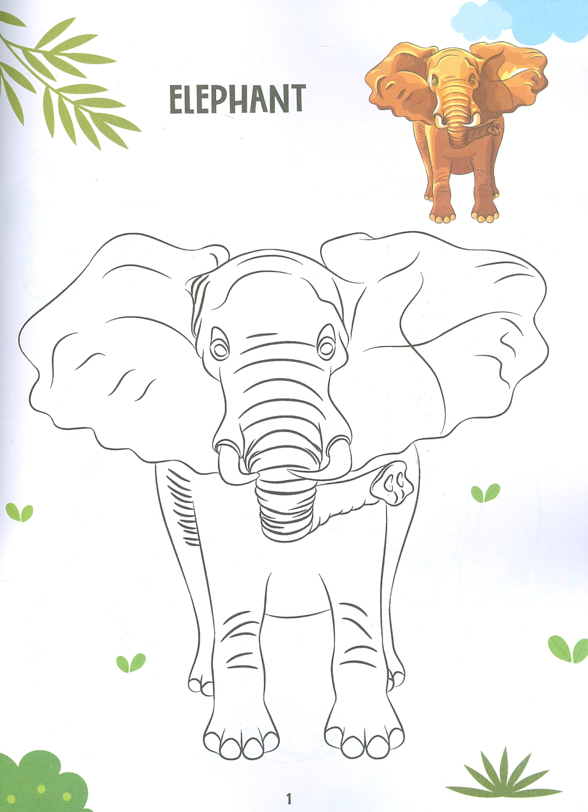 Creative Colouring Book Of Animals (Sách Tô Màu Sáng Tạo Về Động Vật)