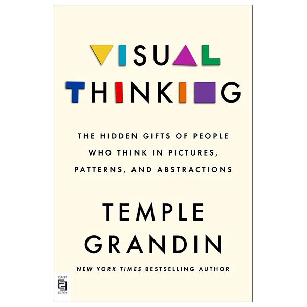 Visual Thinking: The Hidden Gifts Of People Who Think In Pictures, Patterns, And Abstractions