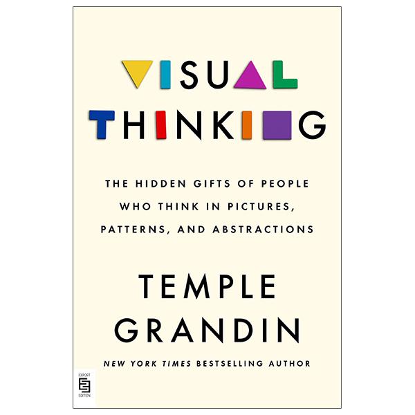 Visual Thinking: The Hidden Gifts Of People Who Think In Pictures, Patterns, And Abstractions