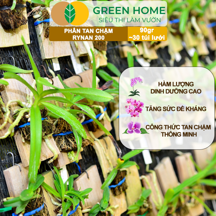 Phân Tan Chậm GreenHome, Rynan 200, Bao 90gr ~ 30 Túi Lưới 3gr, Dành Cho Giai Đoạn Phong Lan Cây Con