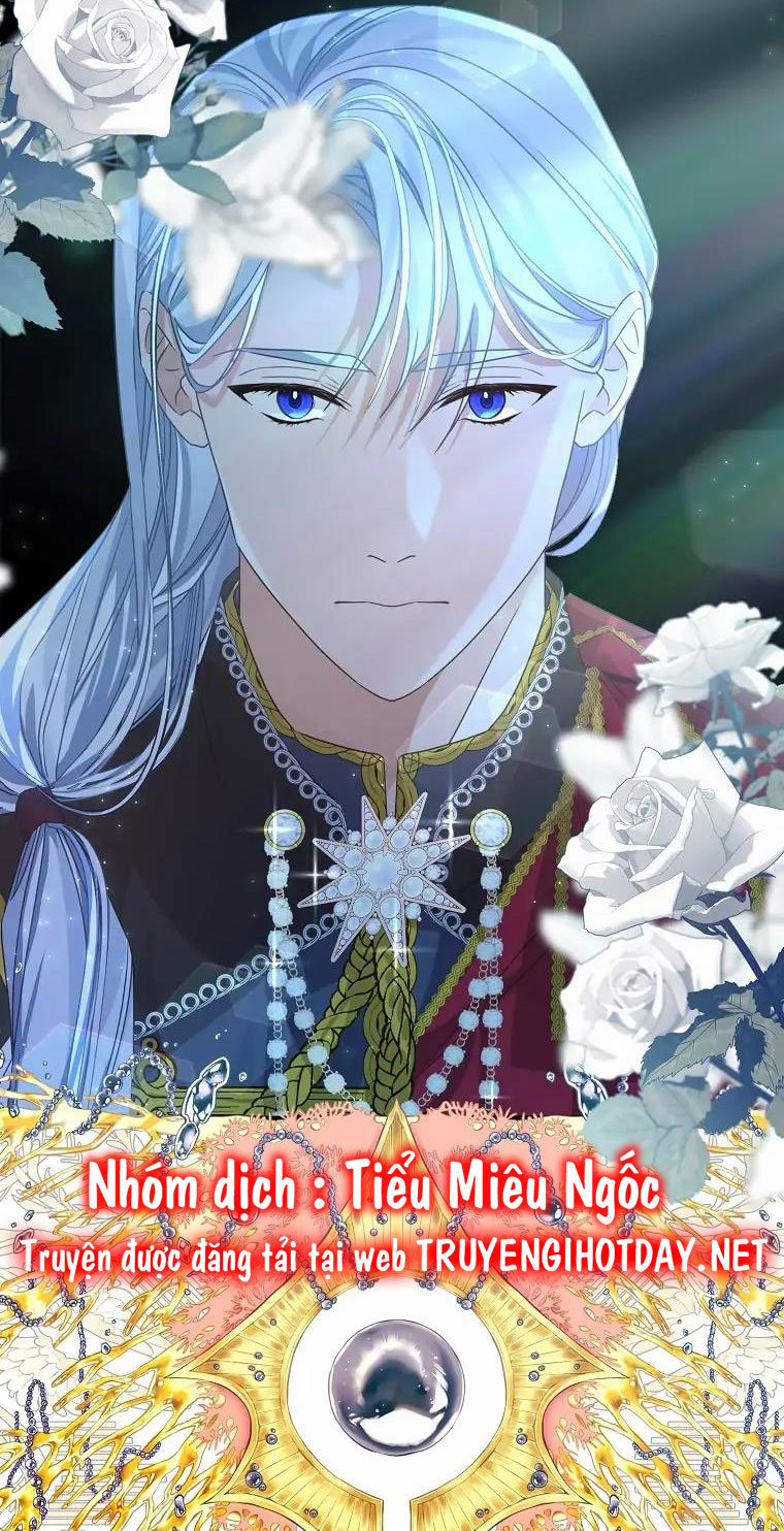 aster yêu dấu của tôi chapter 3 15