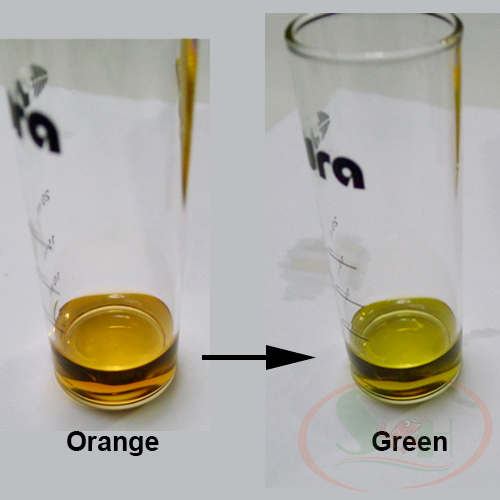 Bộ Sera gH Test kiểm tra độ cứng tổng gH nước ao hồ bể cá tép thủy sinh