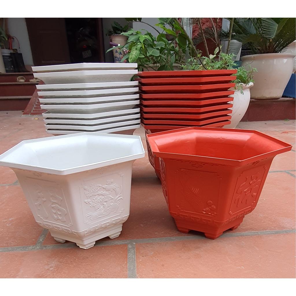 Chậu nhựa lục giác Phúc, Lộc, Thọ L23 đa sắc màu