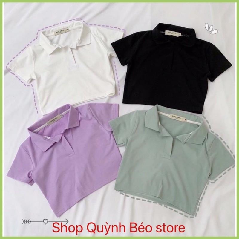 Áo Croptop Cổ Bẻ Nữ- Áo thun croptop polo basic tay ngắn có cổ trơn dáng ôm Ulzzang