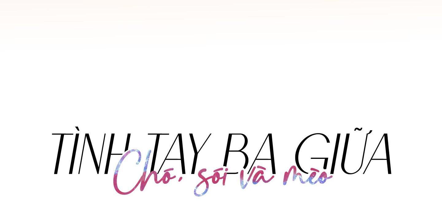 tình tay ba giữa chó, sói và mèo chapter 25 13