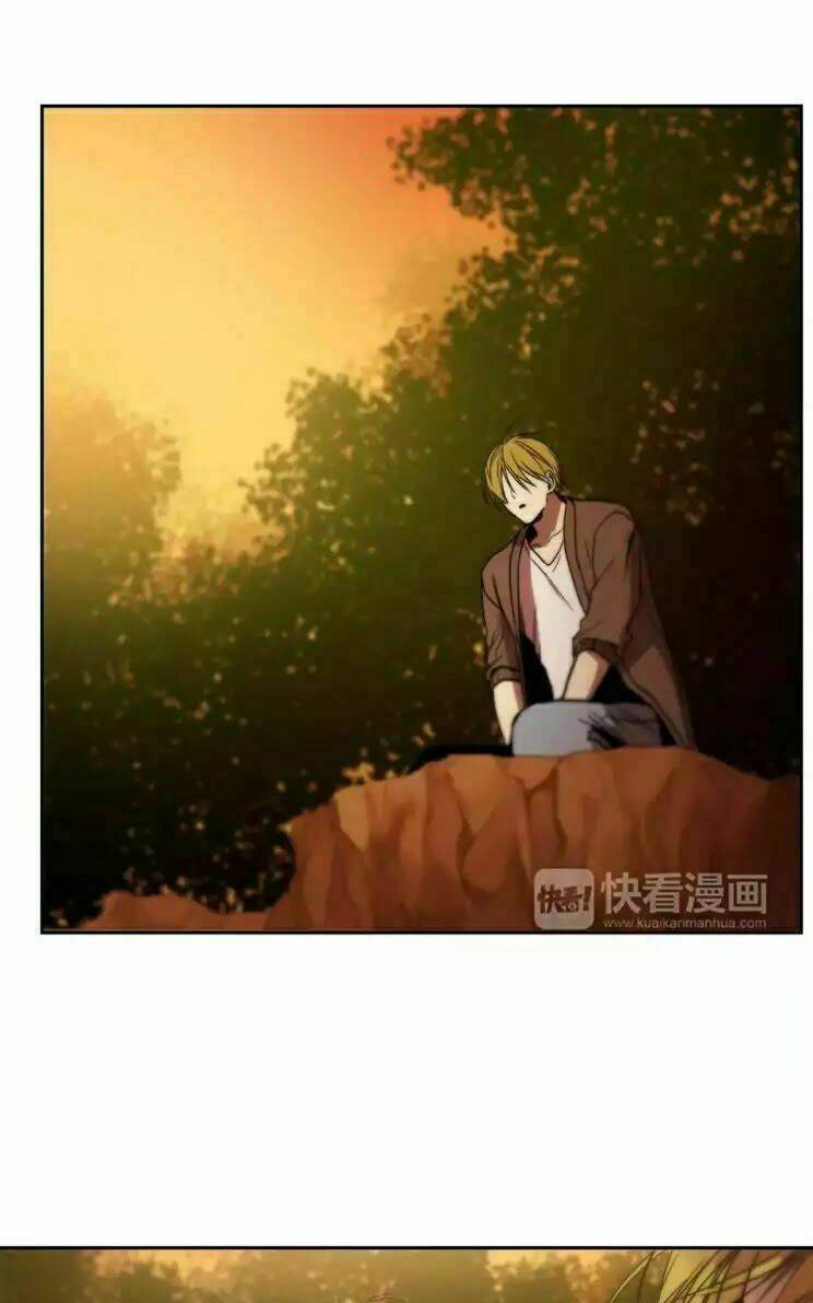 special relationship law chapter 1 55