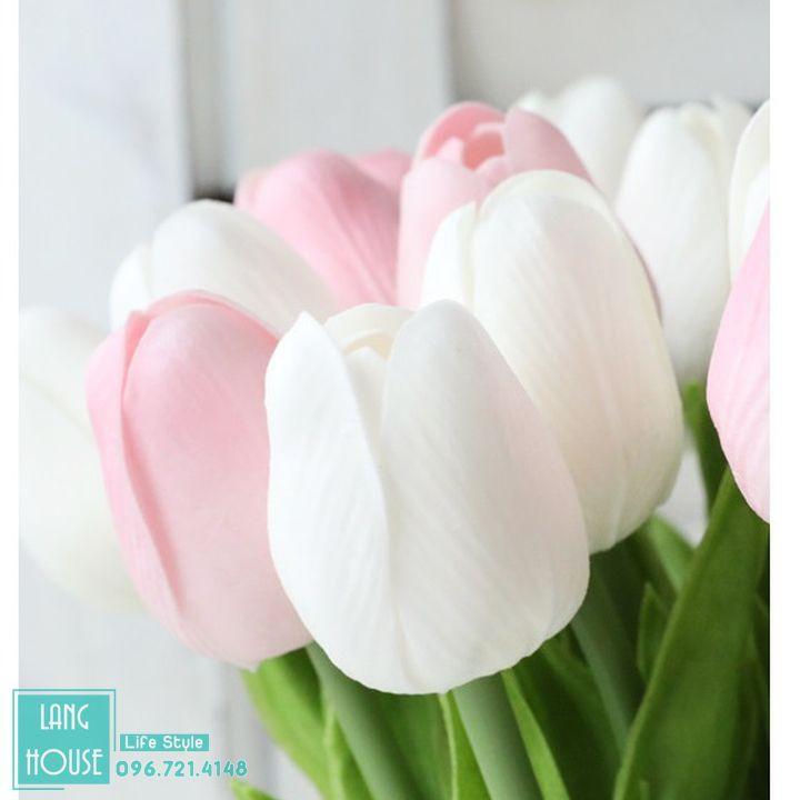 Hoa giả | HOA TULIP CAO CẤP Loại 1 Giống Thật