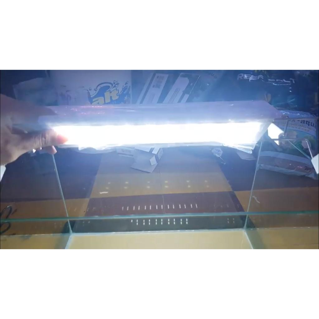 Đèn led máng dành cho bể thủy sinh 20cm, 30cm, 40cm, 50cm, 60cm