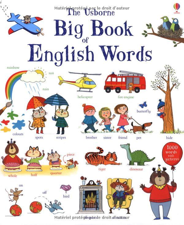Hình ảnh Sách tiếng Anh - Usborne Big Book of English Words