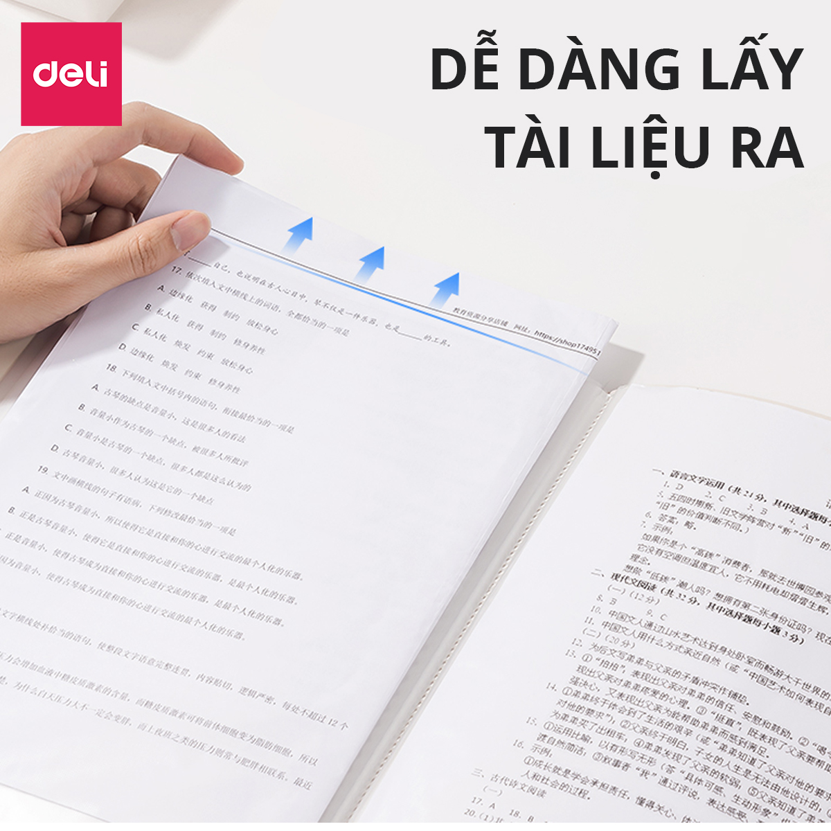 File Lá Đựng Tài Liệu A4 / Túi Tài Liệu Lá A4 20/30/40/60 Lá Deli - Lưu Trữ Tài Liệu Chứng Từ Hồ Sơ Phù Hợp Học Sinh Văn Phòng