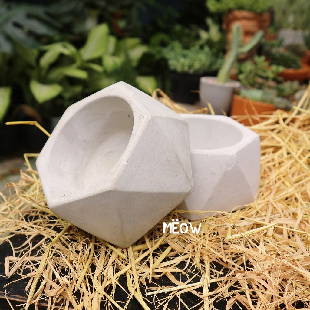 Chậu xi măng | Chậu trồng cây mọng nước, sen đá, xương rồng
