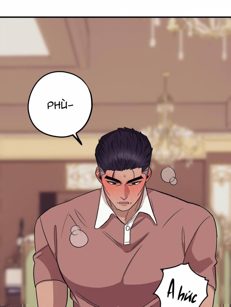 chàng dâu nhà họ kang chapter 50 63