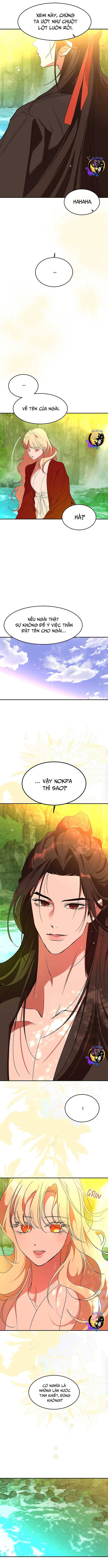 chiến lược săn hổ của nữ thần chapter 62 16