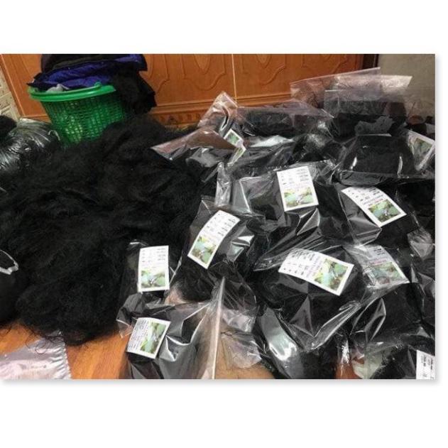 Lưỡi Bẫy Chim | lưới bẫy chim tàng hình | lưới bây chim khuyên sâu sẻ gi sáo cu gáy chích chòe chào mào vẹt....