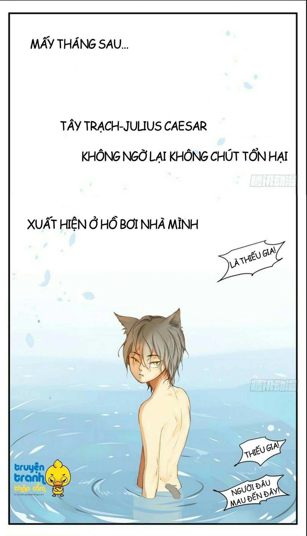 cứu mạng ! loài mèo thống trị thế giới rồi ! chapter 34 17