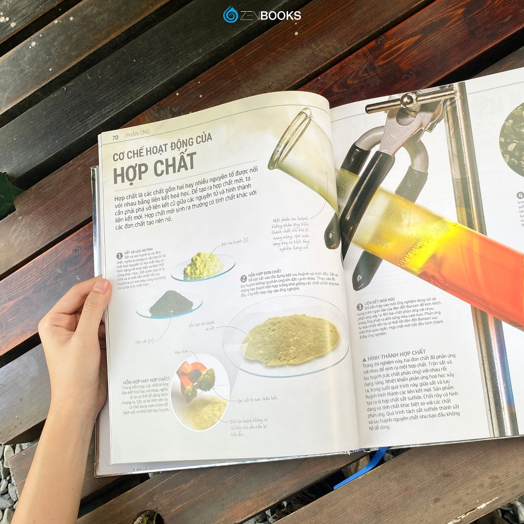 COMBO Sách 4 Quyển Bách Khoa Tự Nhiên - DK