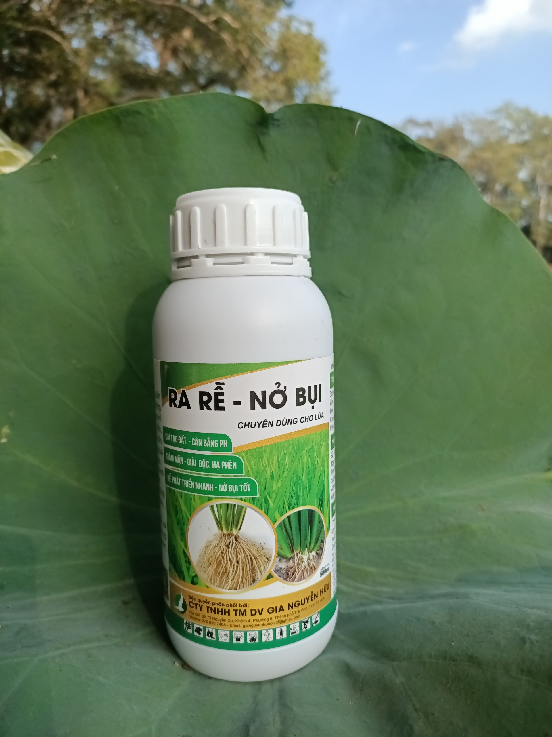 RA RỂ NỞ BỤI chai 500ML - Tiết kiệm chi phí phân bón và thuốc BVTV