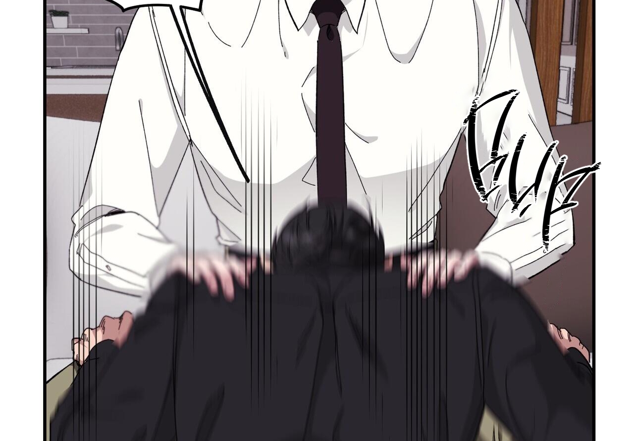 chàng dâu nhà họ kang chapter 34 7