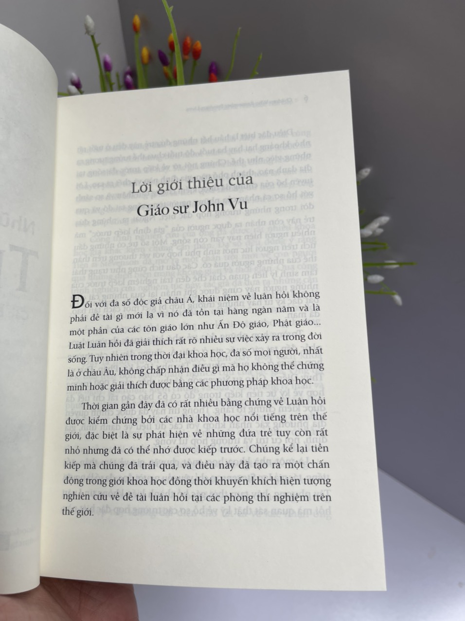 NHỮNG ĐỨA TRẺ NHỚ ĐƯỢC TIỀN KIẾP - Ian Stevenson – Lâm Đặng Cam Thảo dịch - First News – bìa mềm