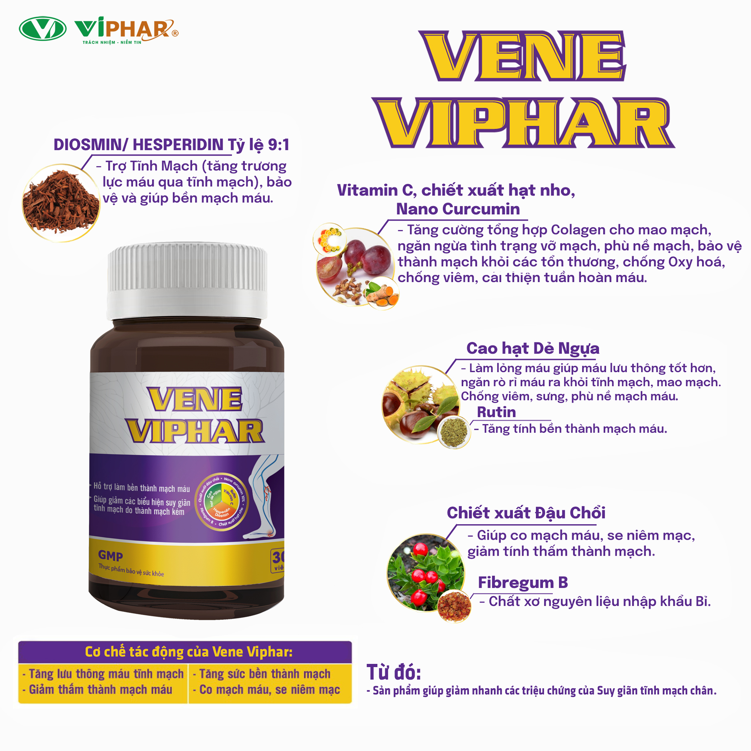 Combo Sản Phẩm Viên Uống Và Kem Bôi Hỗ Trợ Suy Giãn Tĩnh Mạch Chân Nông, Sâu VENE VIPHAR, Giảm Đau Nhức, Mờ Gân Xanh Đỏ