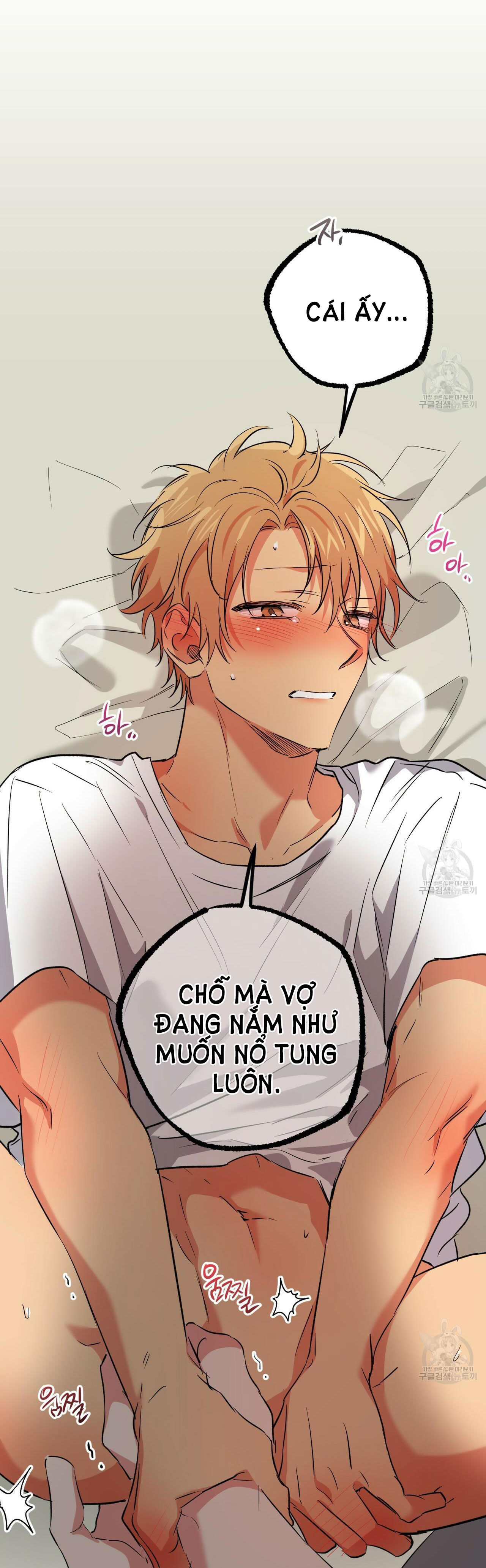 những chú thỏ của hapypy chapter 54.2 13