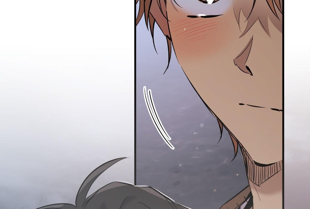 những chú thỏ của hapypy chapter 61 232