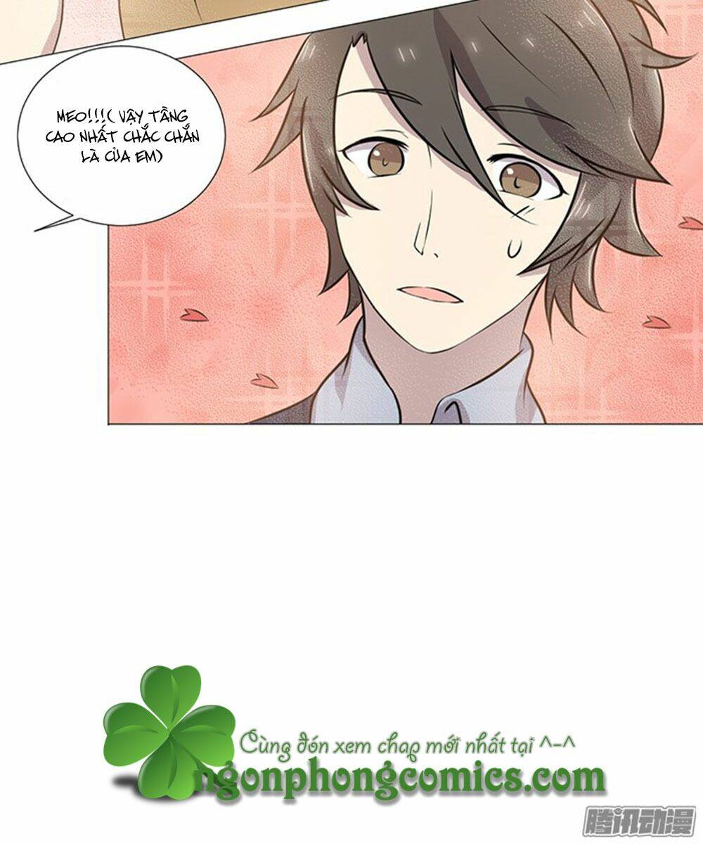 hai chú mèo totem chapter 39 62