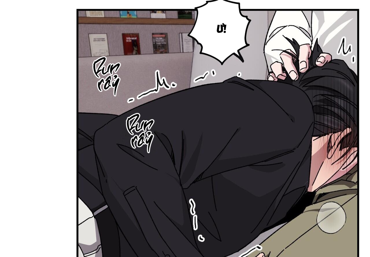 chàng dâu nhà họ kang chapter 34 84