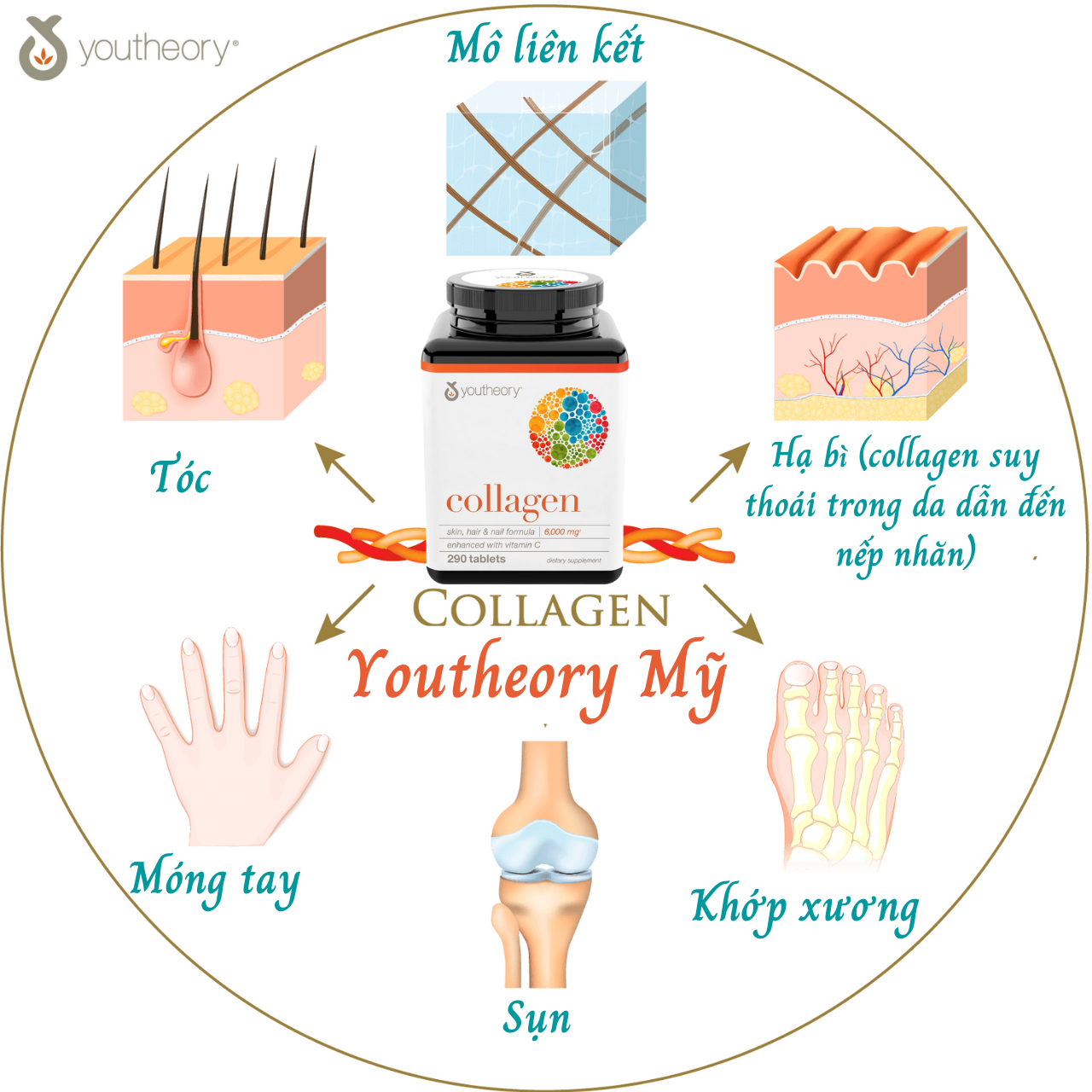 Collagen Vitamin C Youtheory Mỹ Tạo Sức Khỏe Từ Bên Trong Cho Da, Tóc, Móng, Gân, Dây Chằng, Sụn, Khớp Xương - Massel Official - Hộp 290 Viên