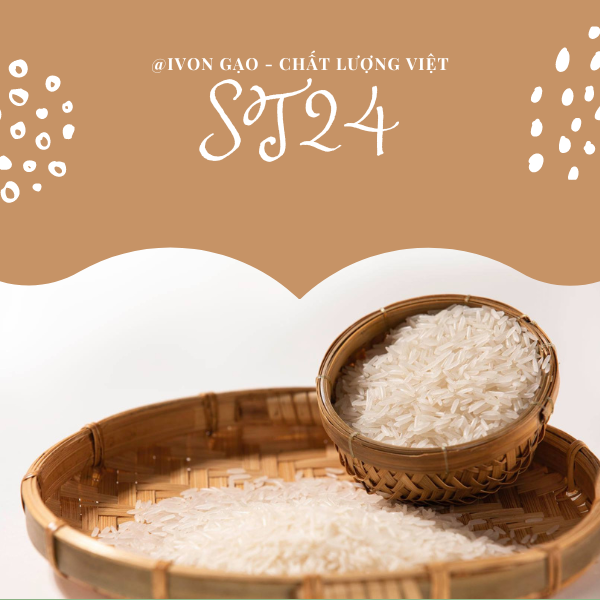 Gạo ST24 - Túi 5 kg - Dẻo, thơm, mềm cơm