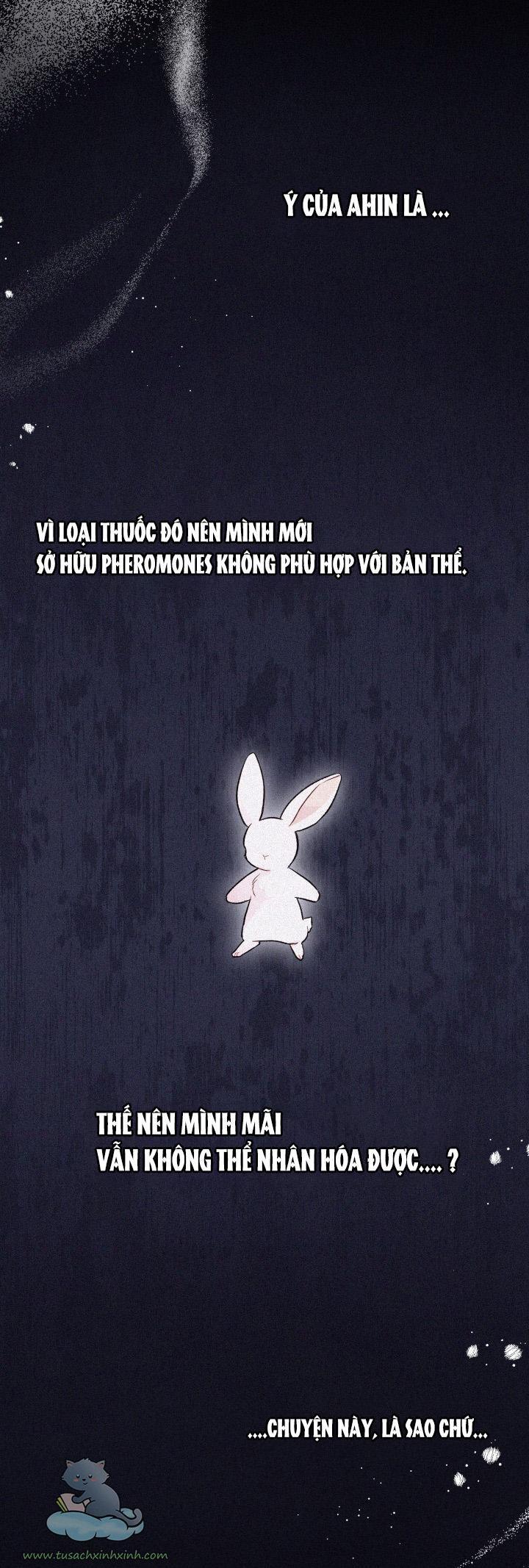 quan hệ cộng sinh giữa báo đen và thỏ trắng chapter 58 52