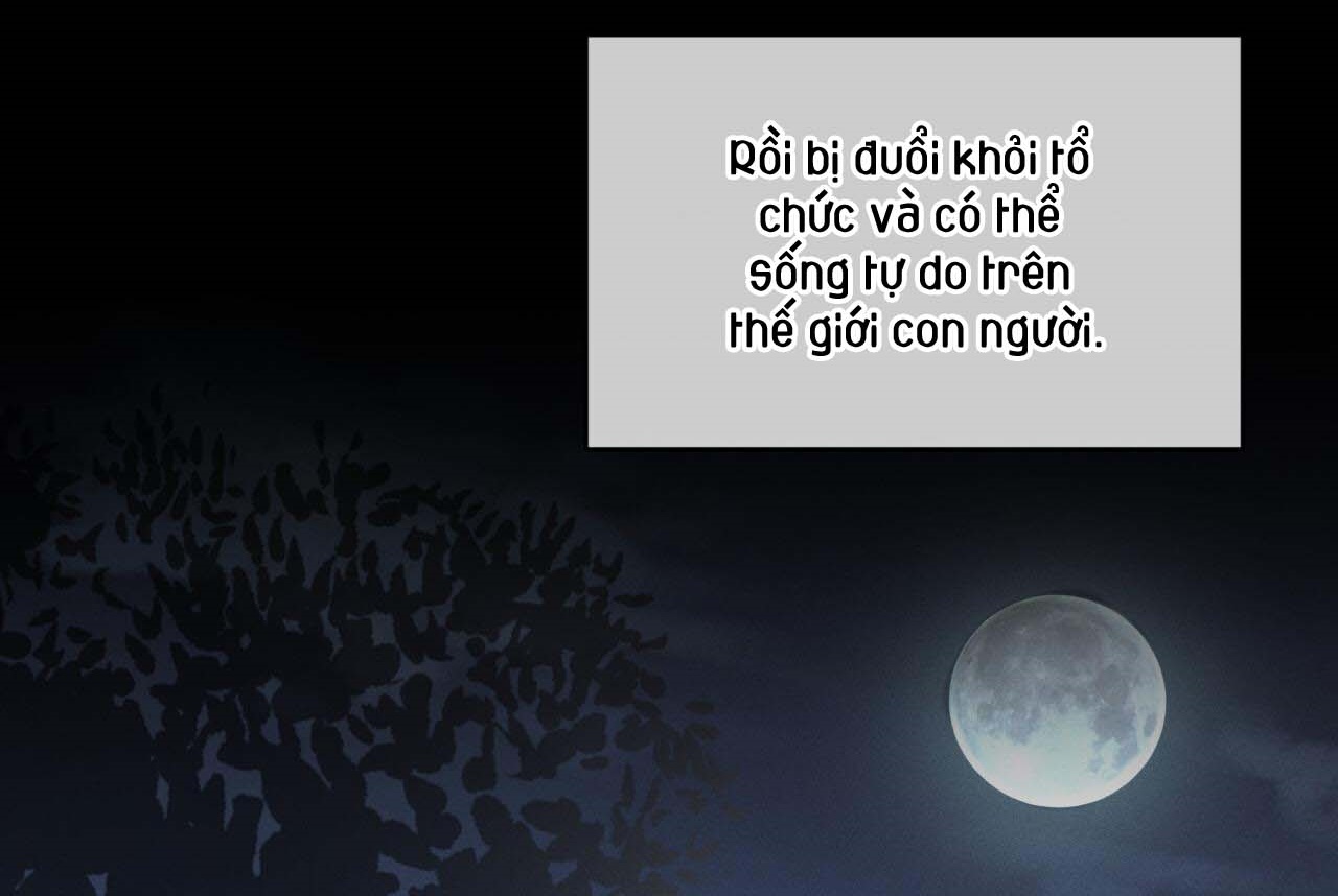 luân đôn trong màn đêm chapter 26 163