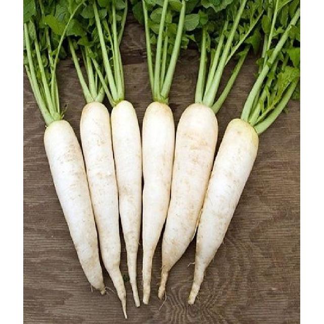 Combo 2 Gói Hạt giống cải củ trắng-gói 20gram/tặng kèm gói phân bón lót