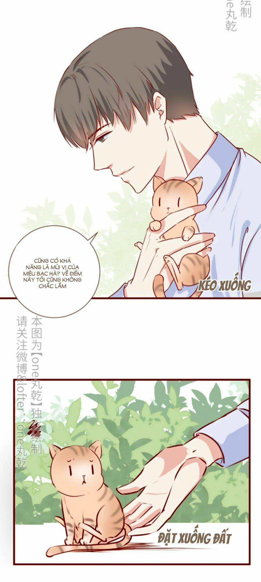 tổng hợp one shot. chapter 388 3