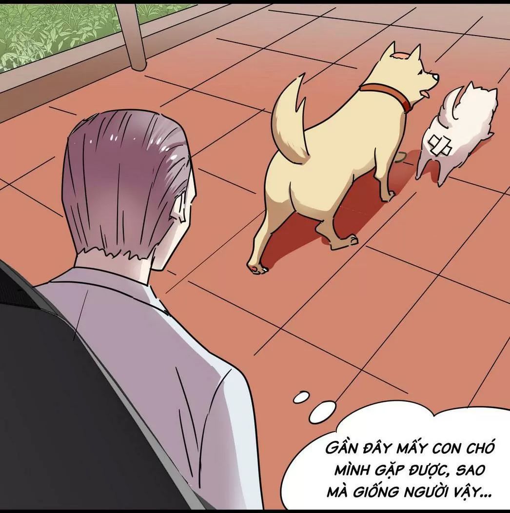 một con chó chapter 54 12