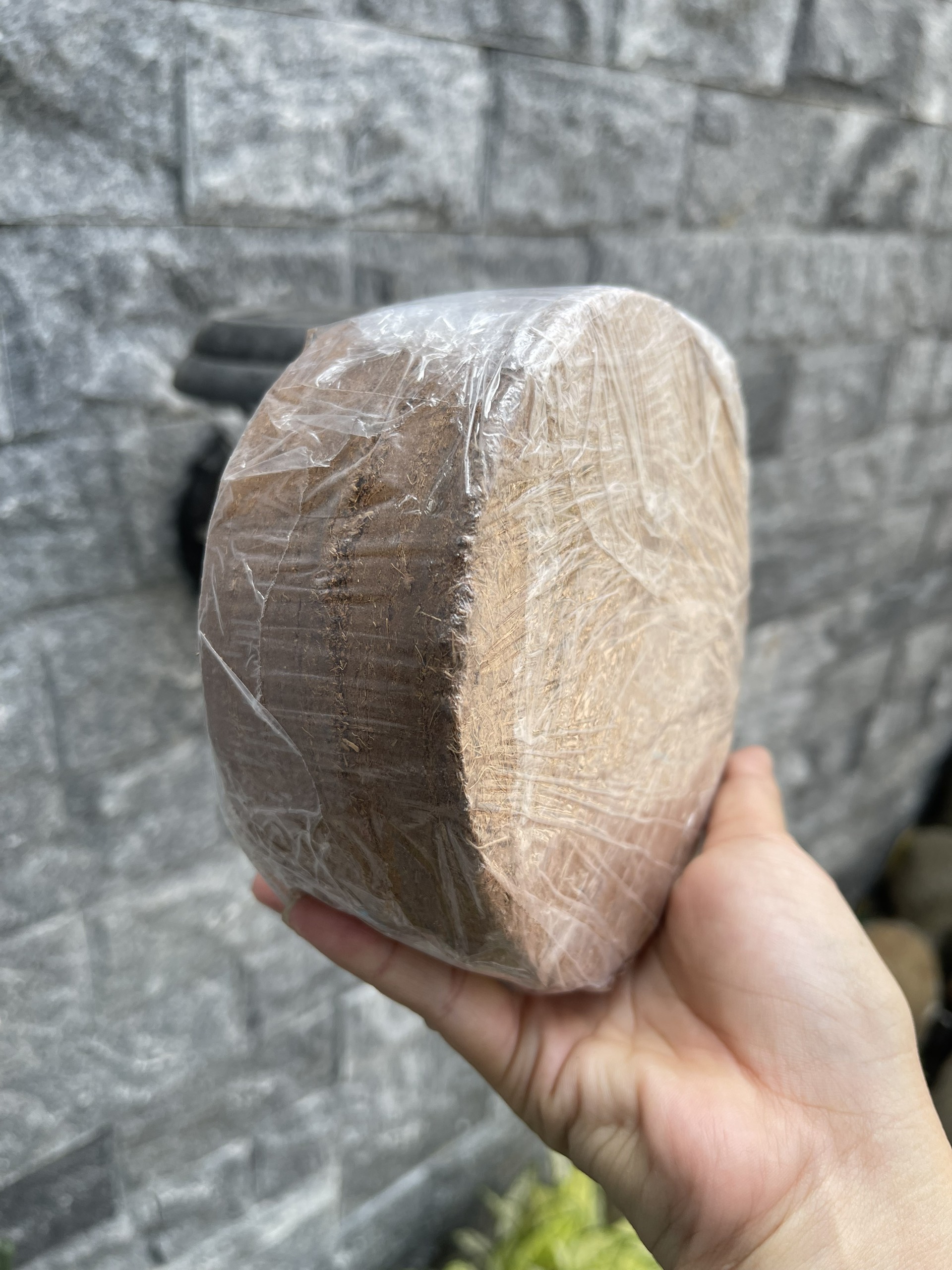Giá thể trộn đất mụn dừa dạng nén cây 4 viên