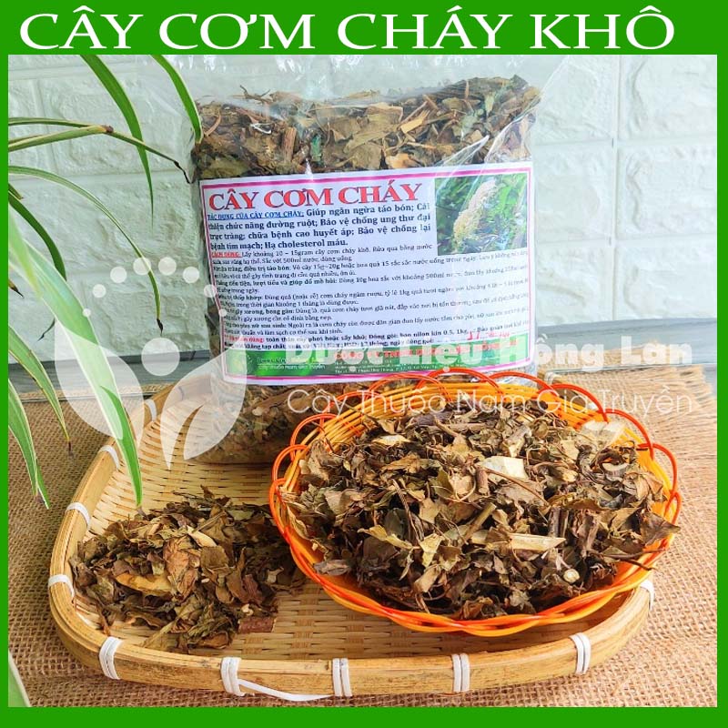 Cây Cơm Cháy khô sạch đóng gói 500g