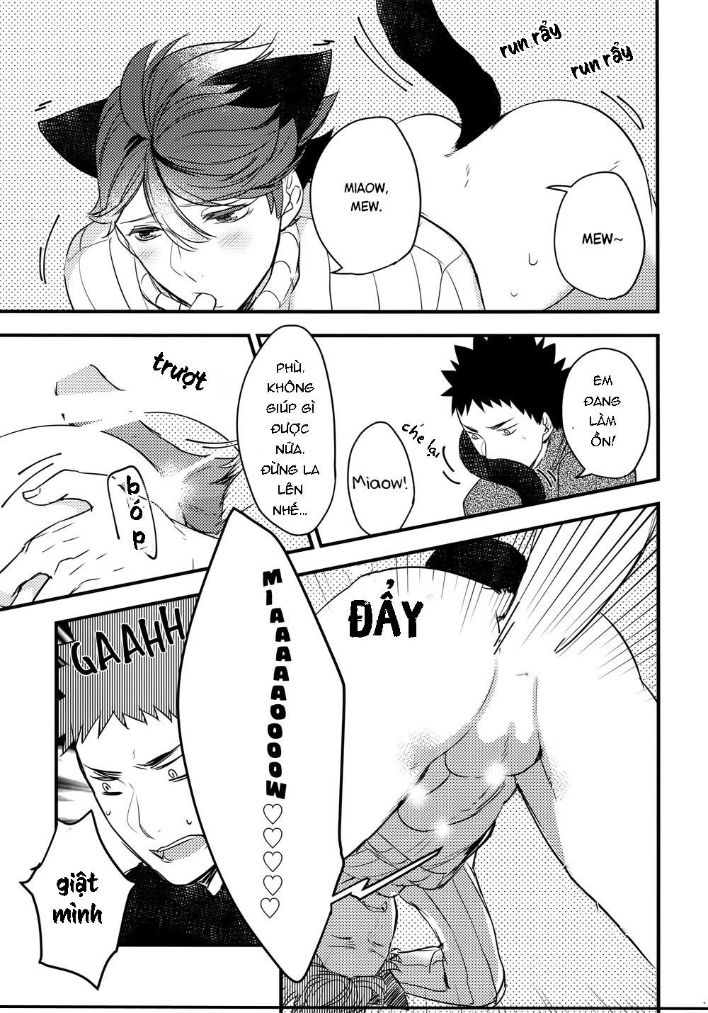 tuyển tập haikyuu dj by dammei bl chapter 7 18