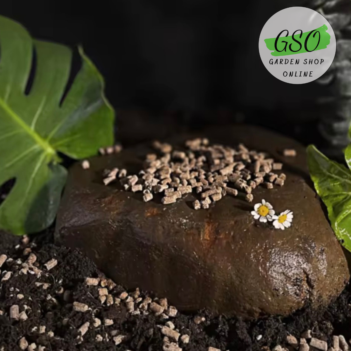 PHÂN BÓN HỮU CƠ SINH HỌC BION