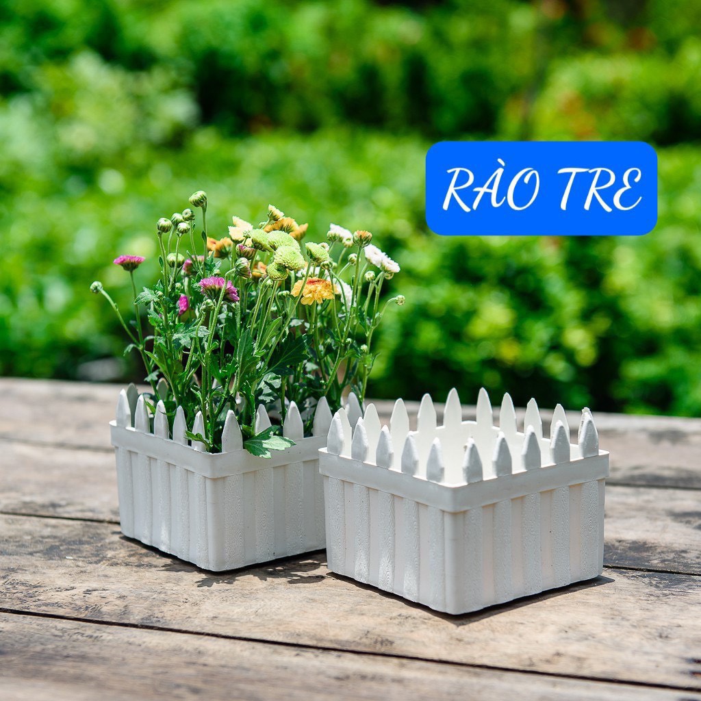 Chậu Hàng Rào Tre Trồng Hoa Size 11x11x9 cm