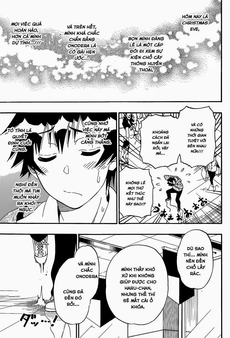 nisekoi - tình yêu giả tạo chapter 167 9