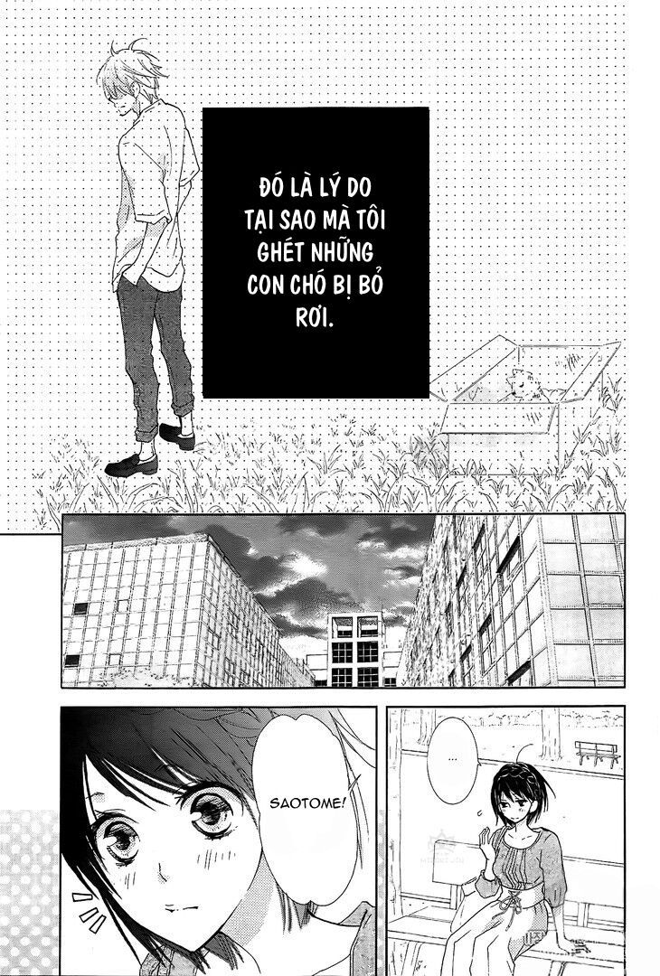 suteinu ni honey toast chapter 3 3