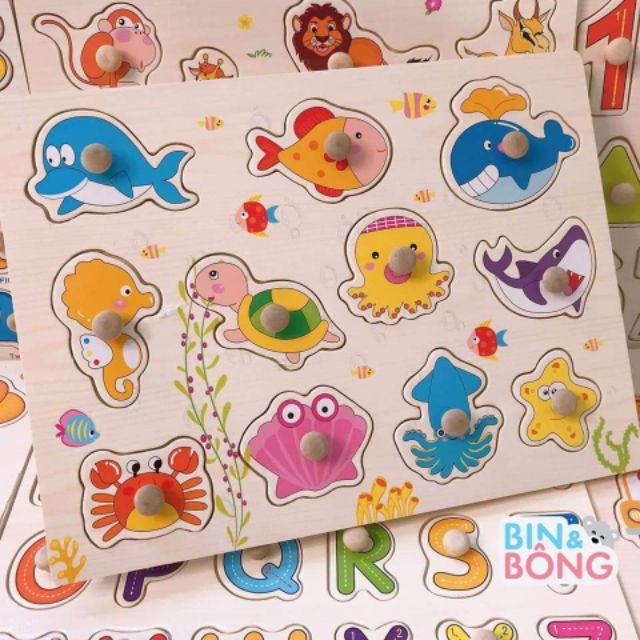Combo 3 bảng núm Bảng Ghép Có Núm