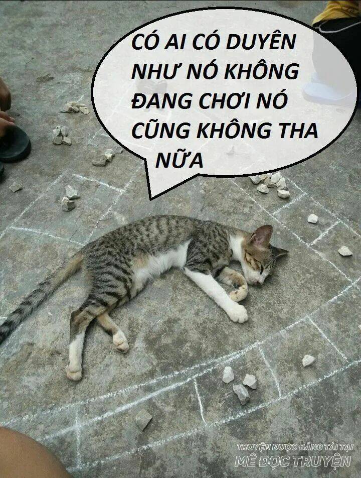 độc phi thần y quá kiêu ngạo chapter 44 31