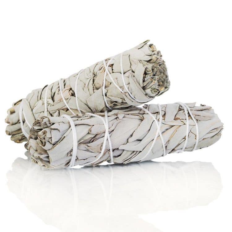 Lá xô thơm (white sage hay sage trắng)