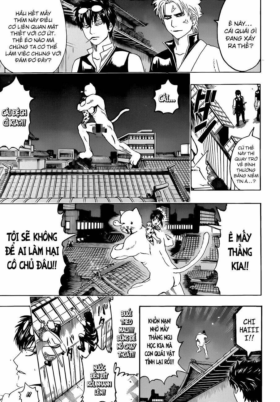 gintama - linh hồn bạc chapter 475 10