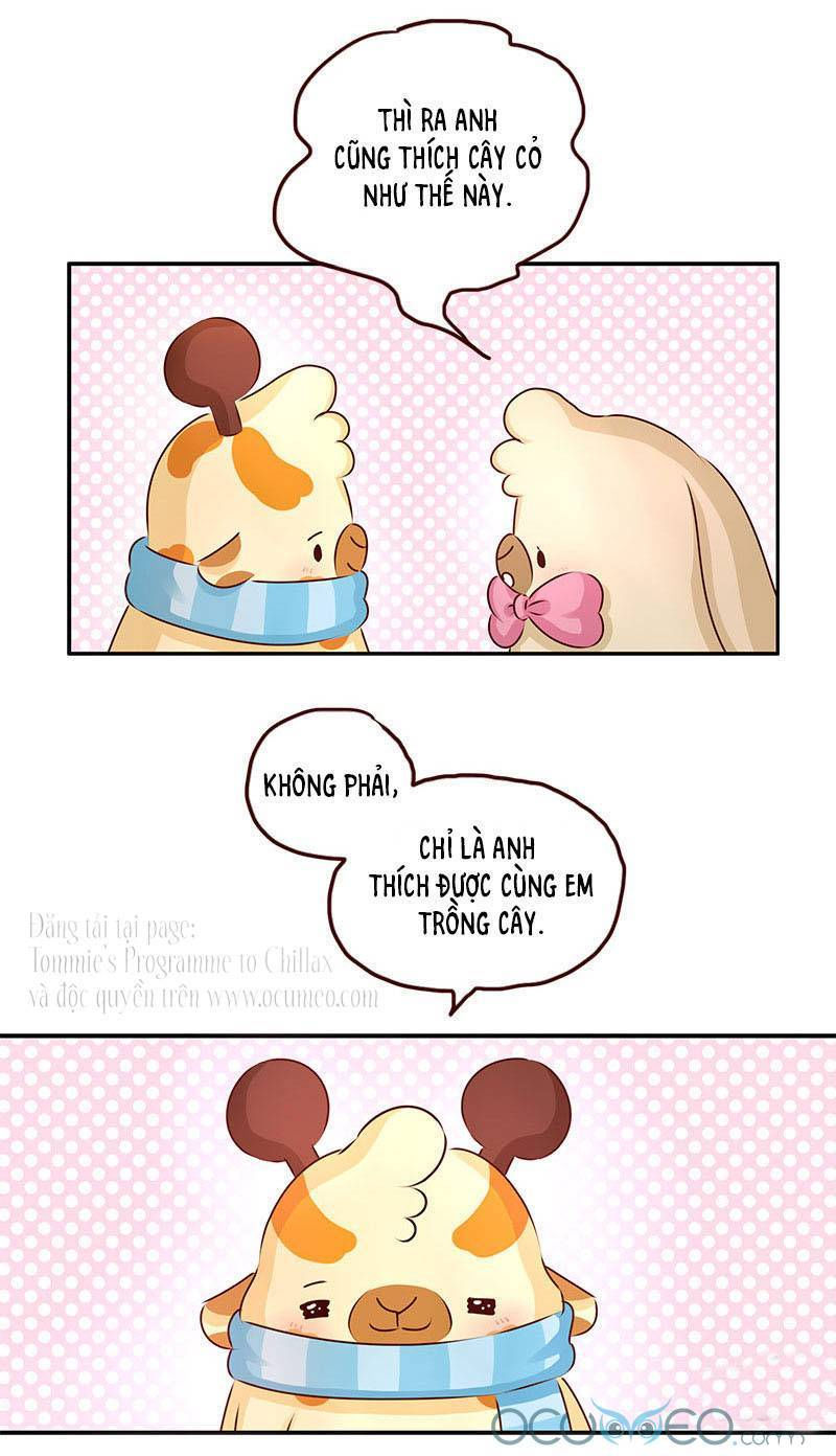 lạc chẩm cổ dài chapter 4 5